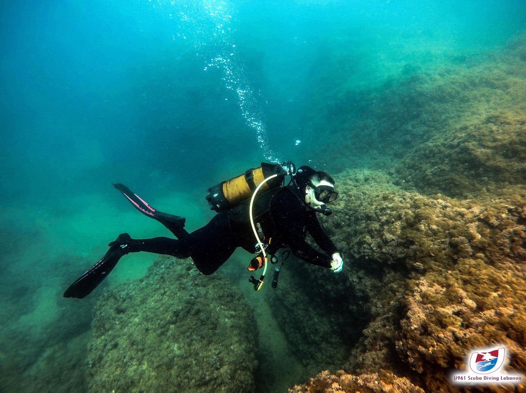 U-961 Scuba Diving Lebanon-Jounieh必去景点