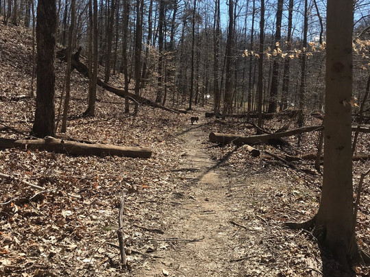 Jefferson Memorial Forest-Fairdale必去景点