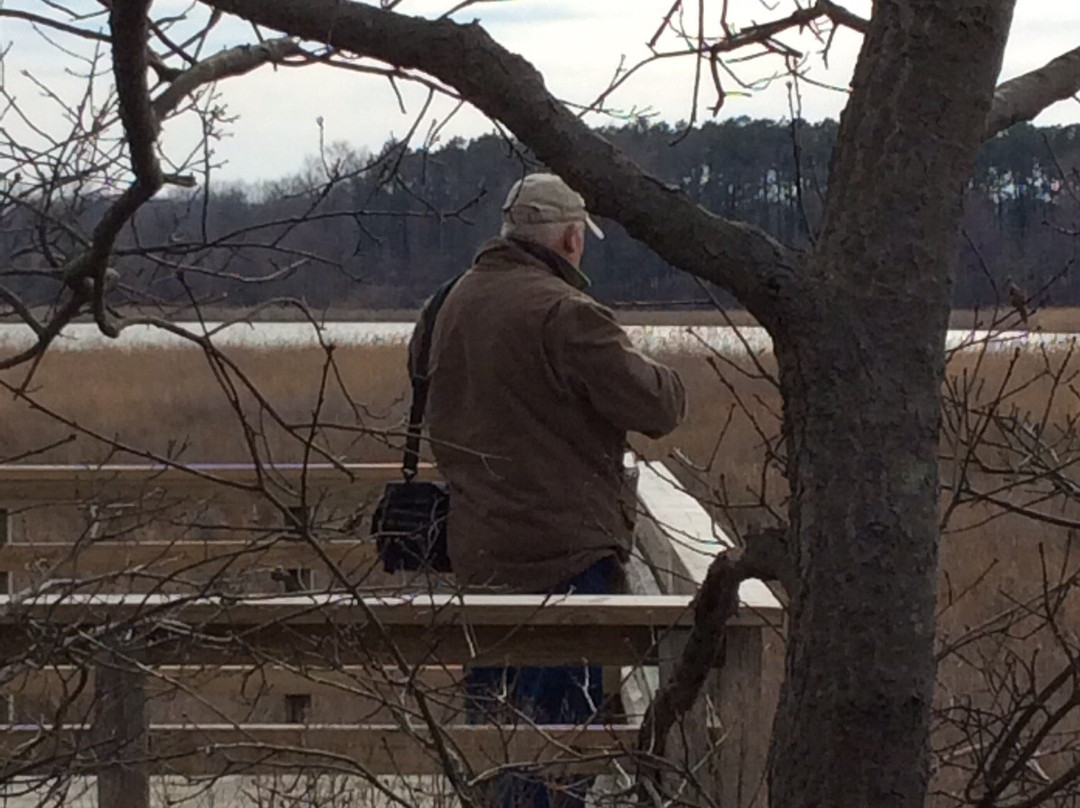 Eastern Neck National Wildlife Refuge-Rock Hall必去景点