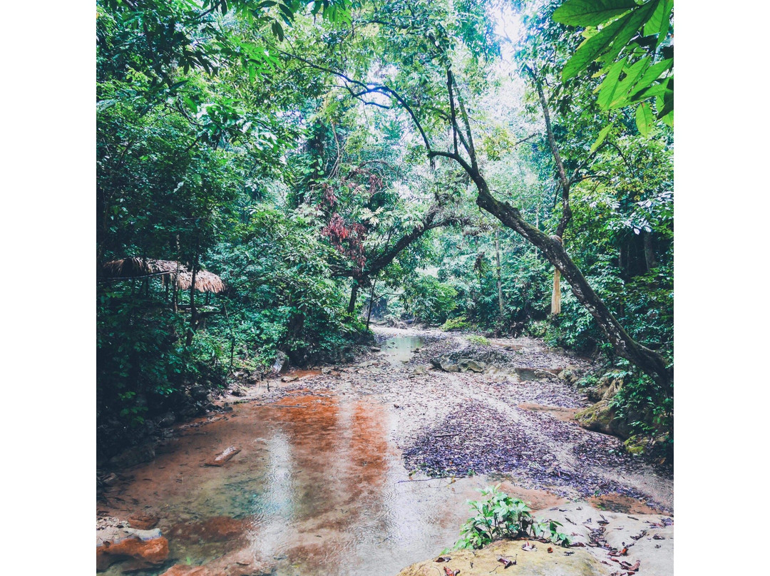 Pu Luong Trekking Tours景点图片