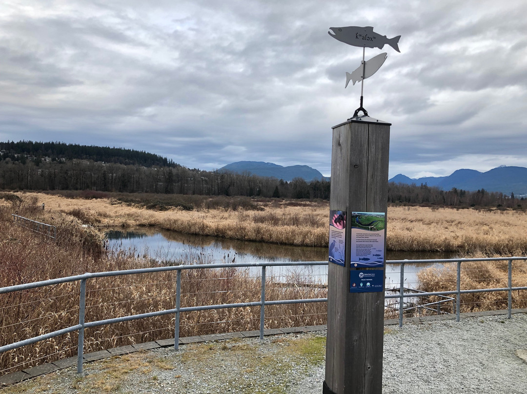 Colony Farm Regional Park-高贵林港必去景点