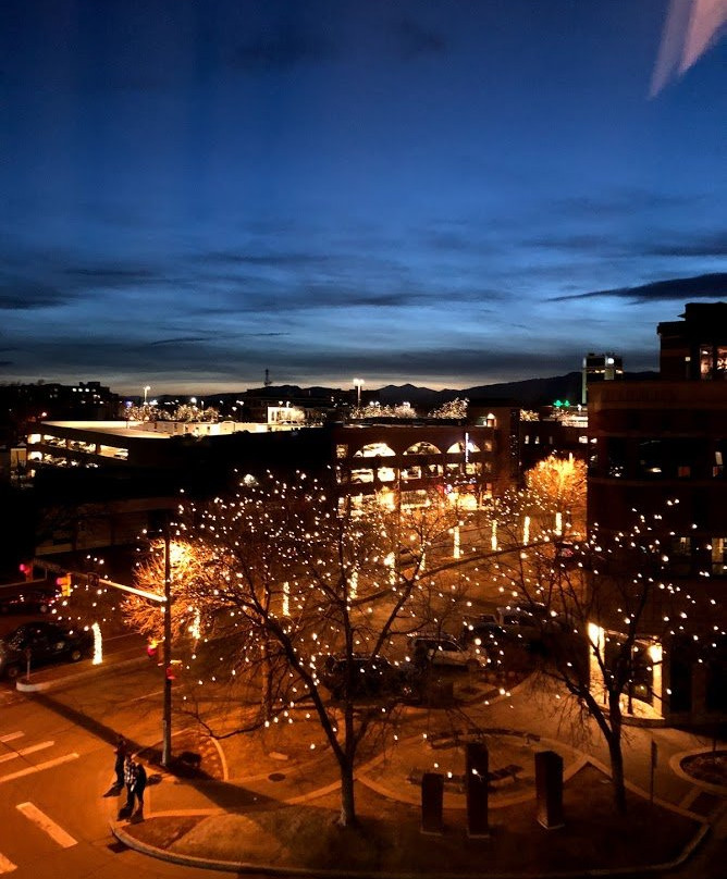 The Elizabeth Hotel, Autograph Collection主图