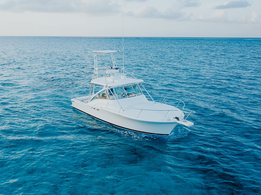 Cayman Snorkel Co-西湾必去景点