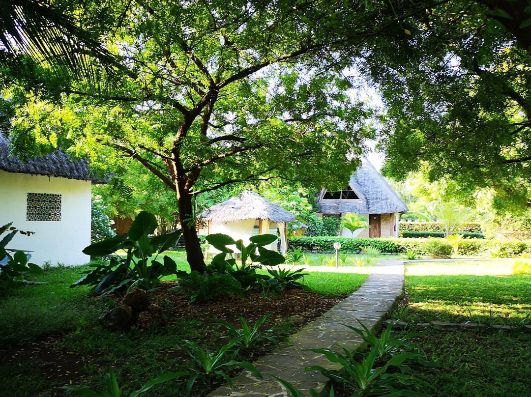 Echo Villas Watamu主图