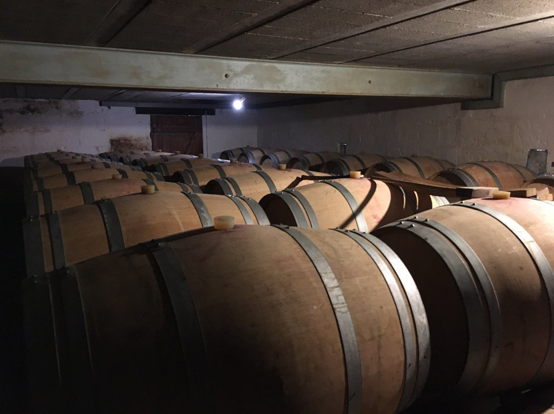 Bordeaux Wine Trails景点图片