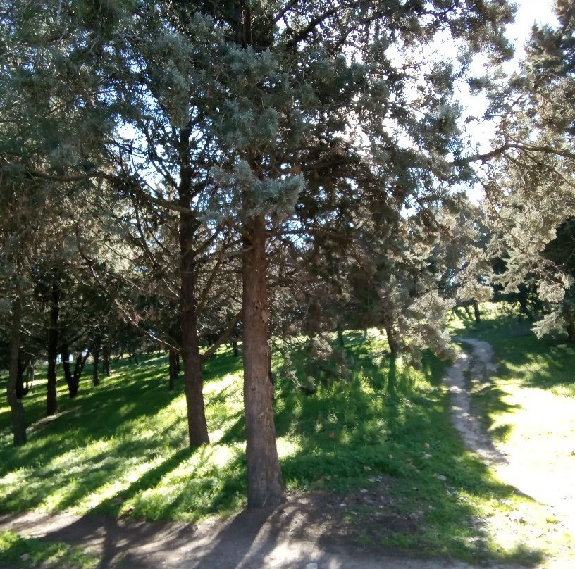 Parque Natural El Soto景点图片