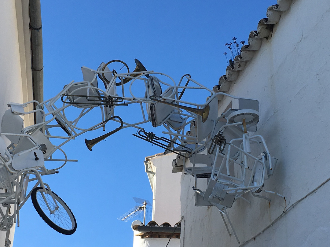 Museo de Arte Contemporaneo景点图片