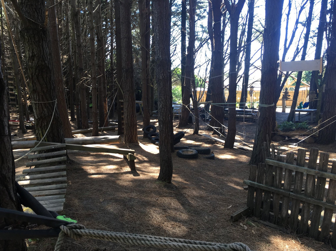 Waitarere Forest景点图片