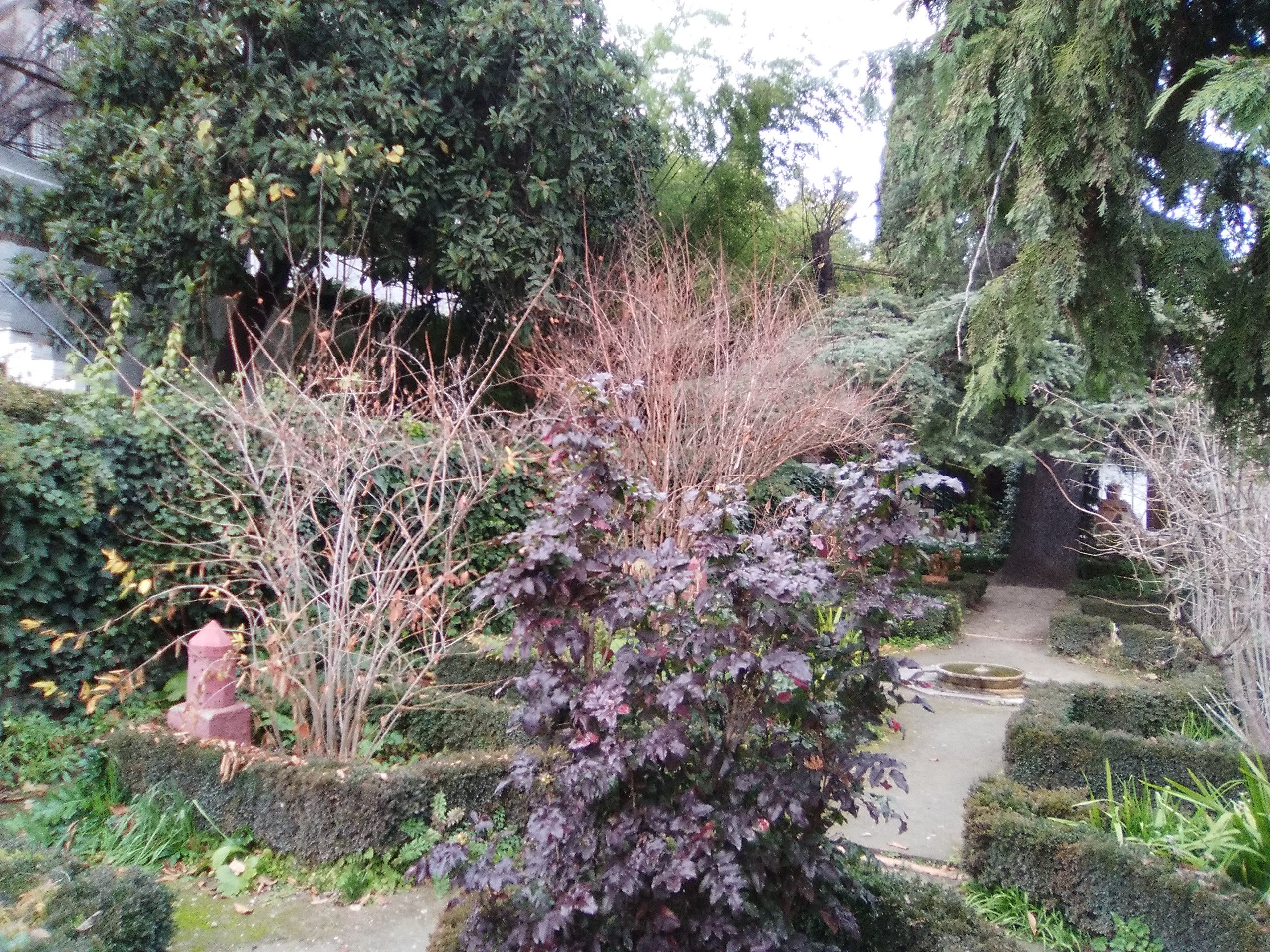 Carmen de la Victoria-家庭/游戏区