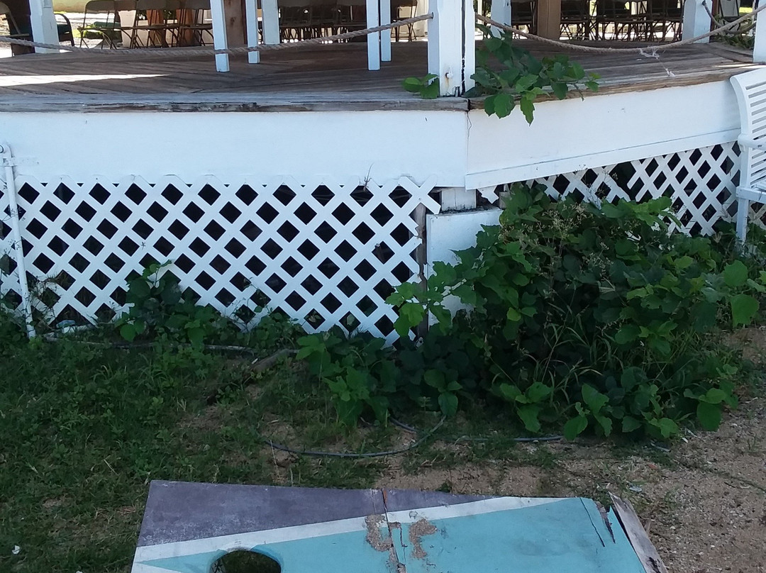 Bungalows on the Bay主图