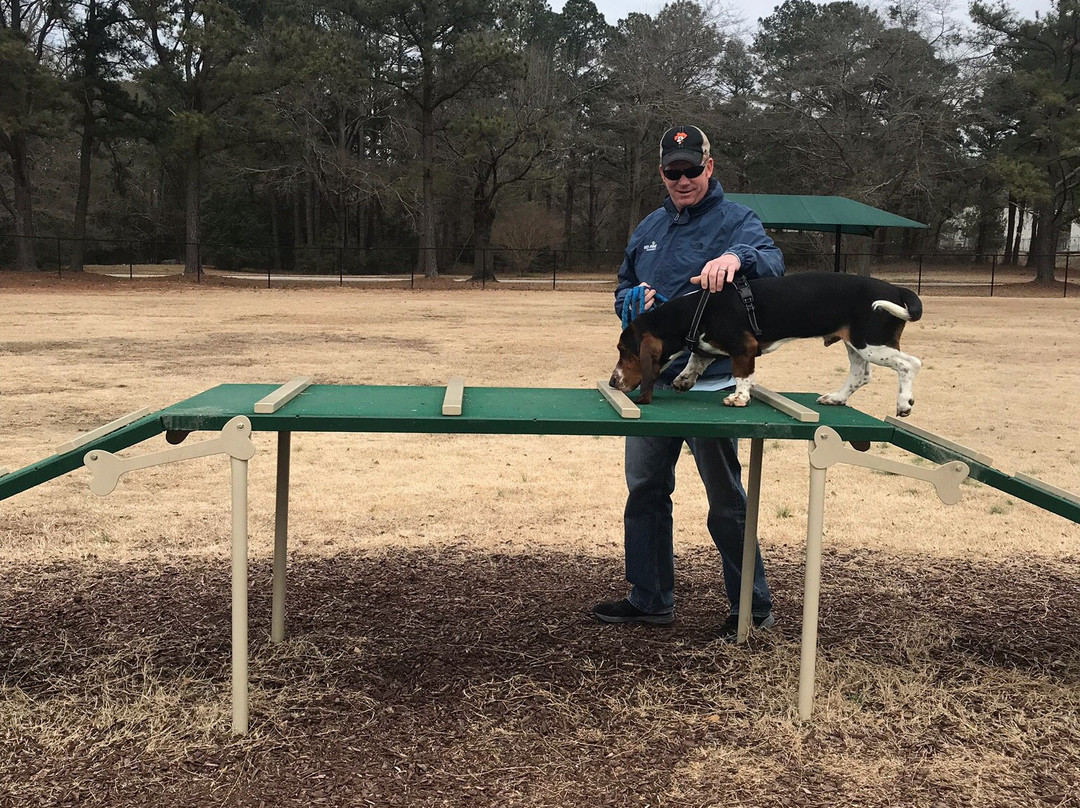 Best Friend's Dog Park-落基山城必去景点