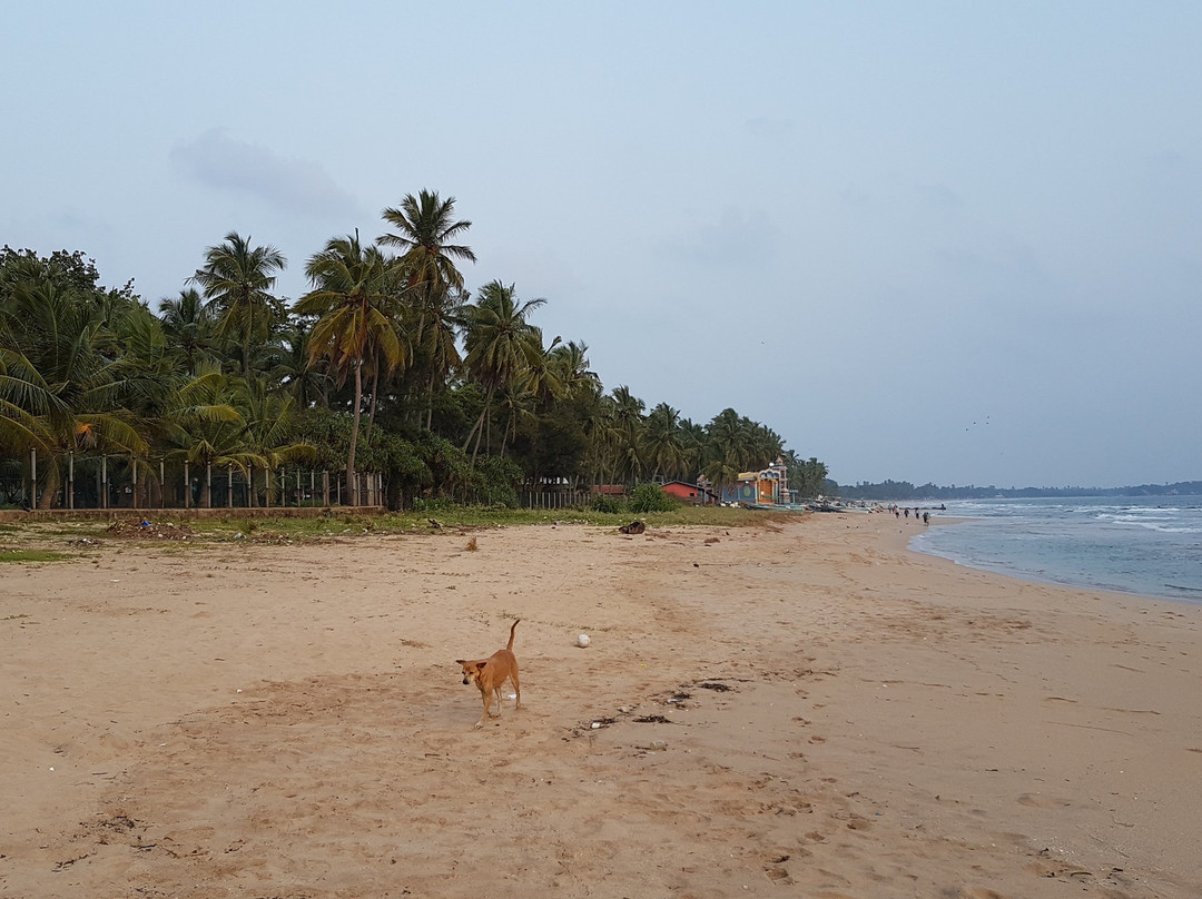 Skandig Beach Resort主图