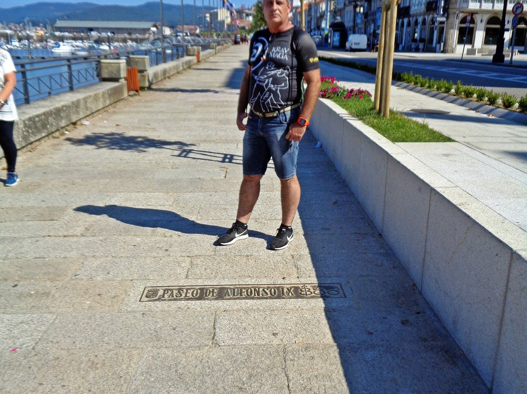 Paseo de Alfonso IX景点图片