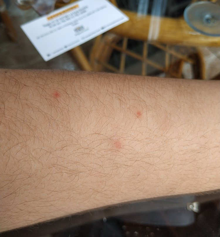 Hotel El Gamonal主图