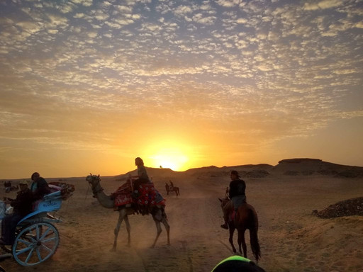 纳赛尔阿布高尼姆宾馆主图