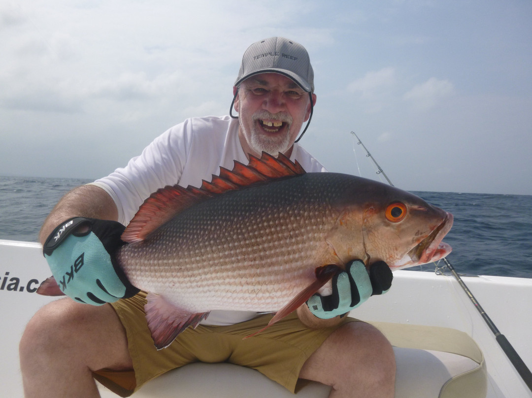 Gamefishing Asia - Day Tours景点图片
