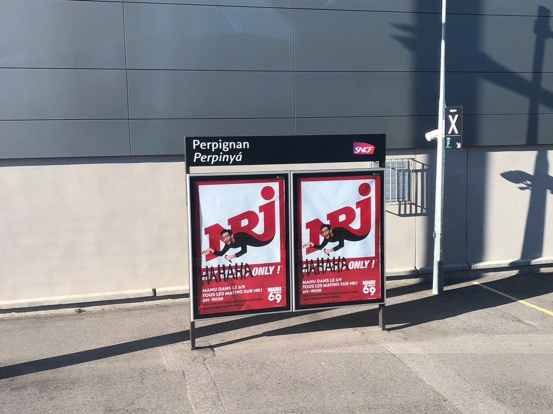 Estacion de Trenes de Perpignan-佩皮尼昂必去景点
