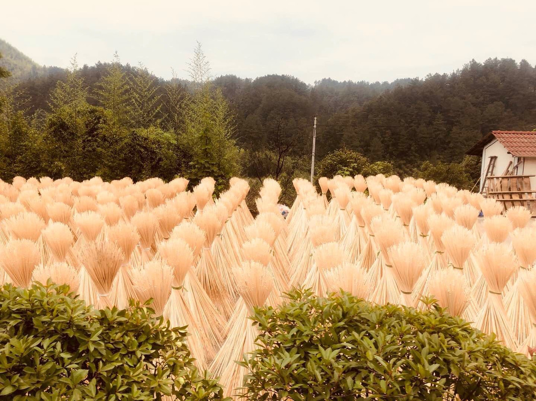 安吉古城遗址-安吉县必去景点