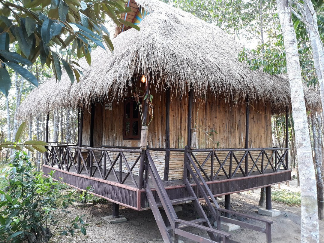 Sun Bear Bungalow主图