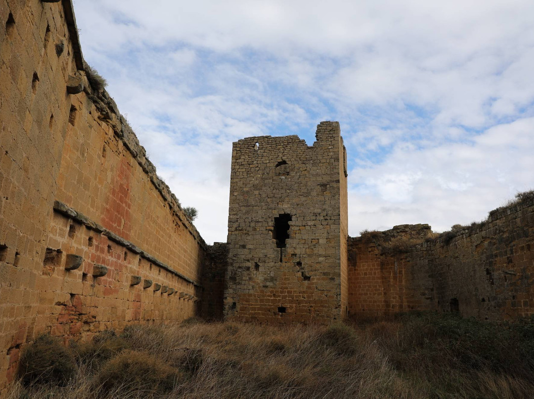 Castillo de Davalillo景点图片