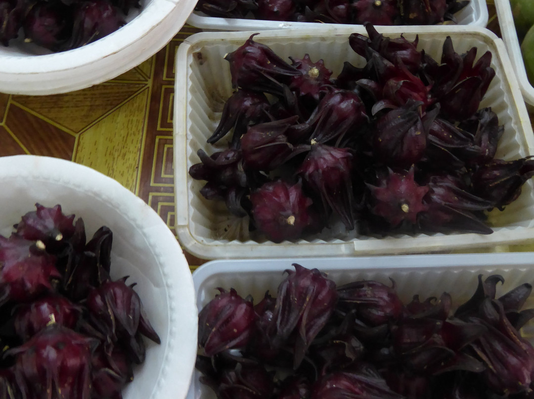 Centrale Markt-帕拉马里博必去景点