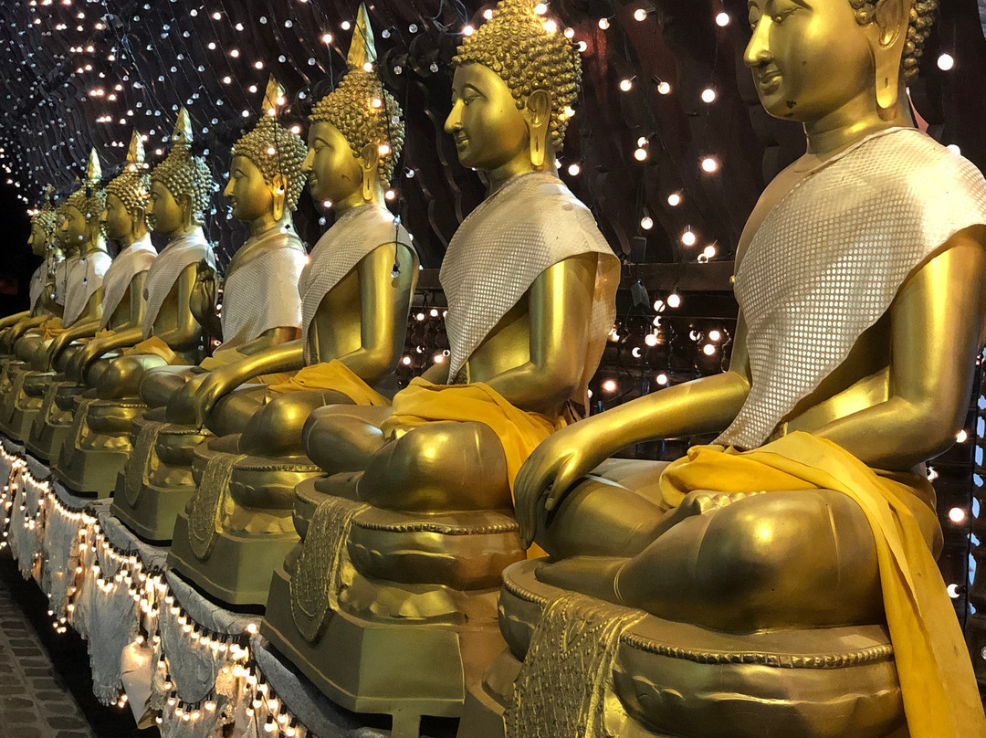 Royal Ceylon Tours-希克杜沃必去景点