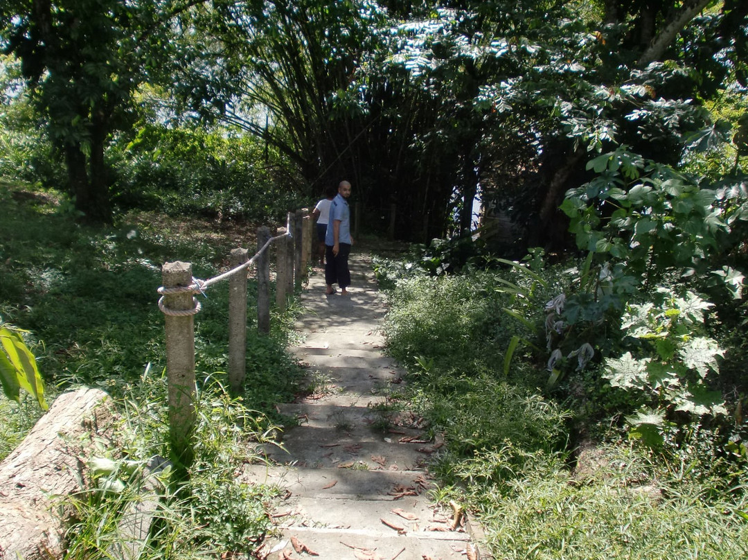 Jodensavanne-帕拉马里博必去景点