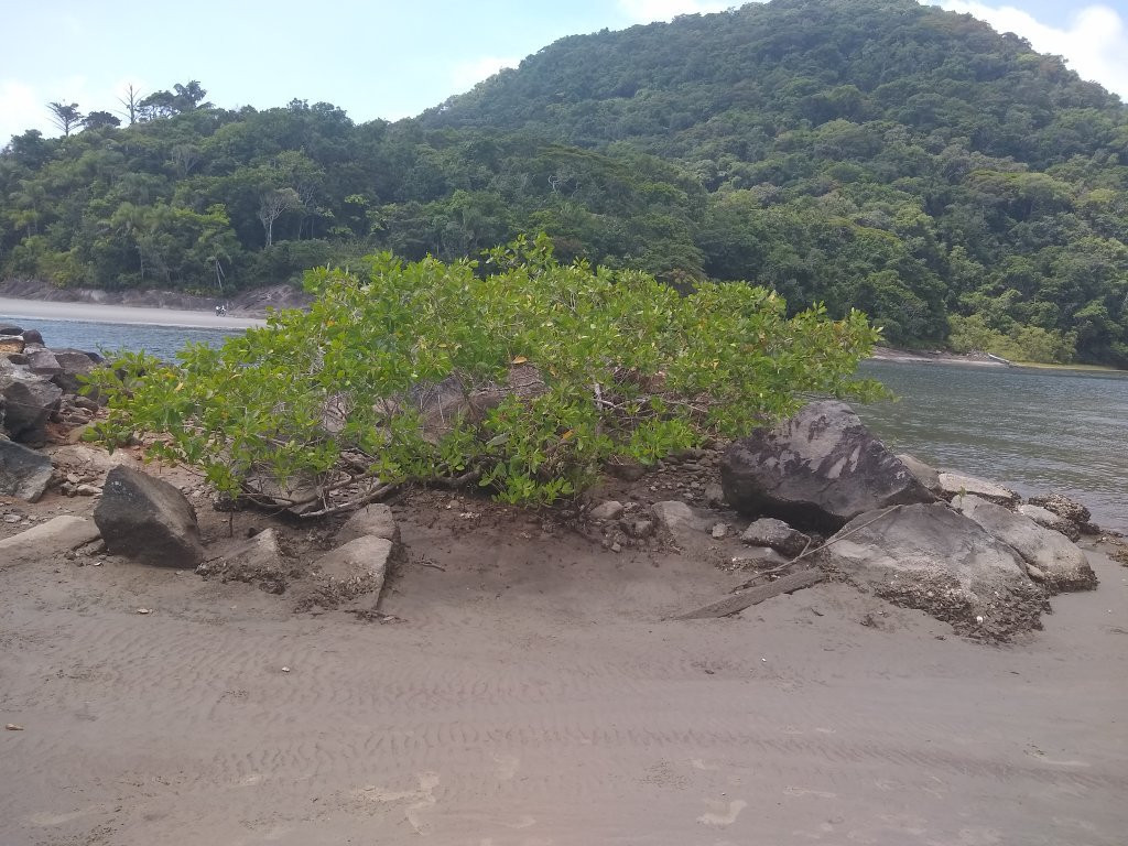 Guarauzinho Beach景点图片