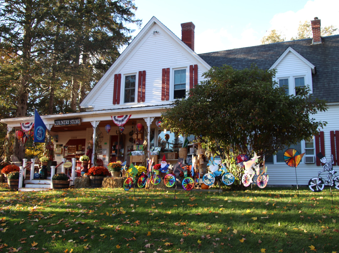 Flossie's Emporium-杰克逊必去景点