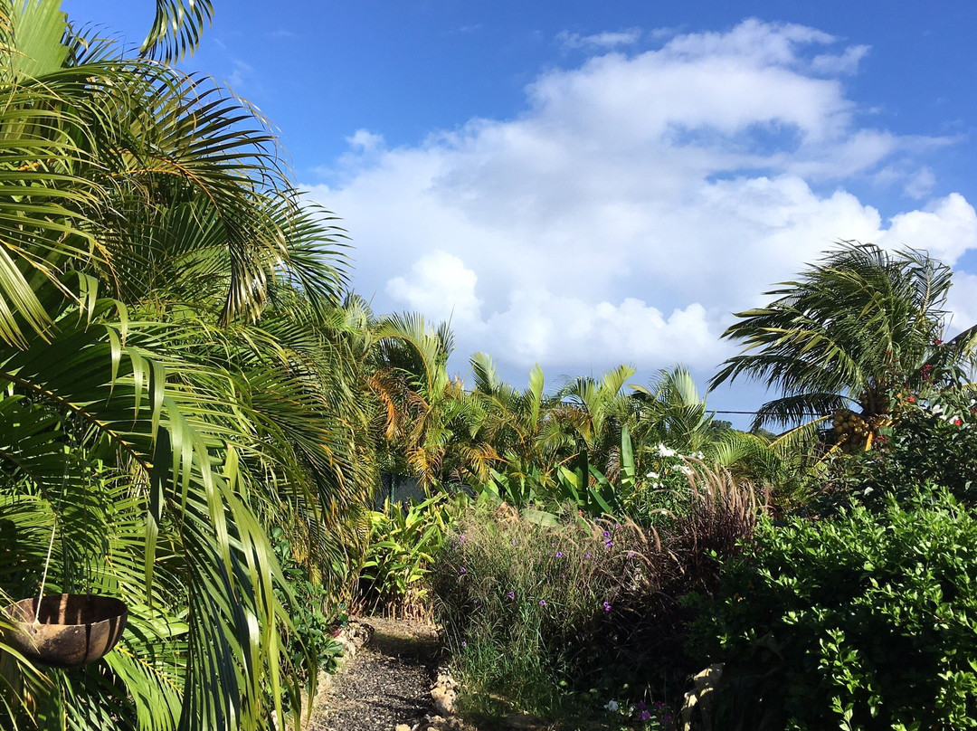 Le Moule酒店住宿-Les Kaz De Bien-desiree