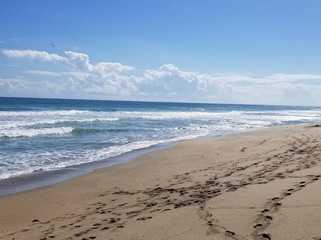 Virginia Forrest Beach-斯图尔特必去景点