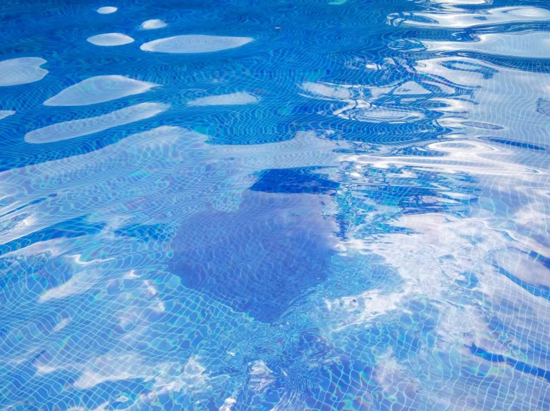 L' Hotel les Aigrettes主图