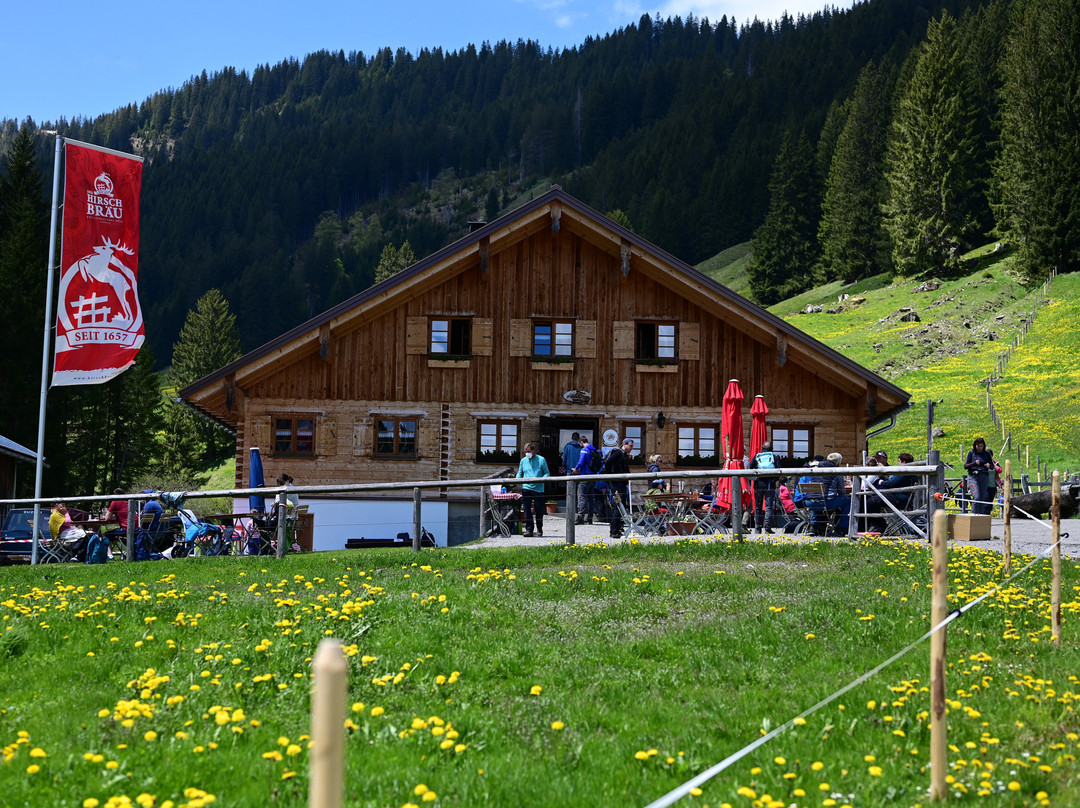 Alpe Zunkleiten