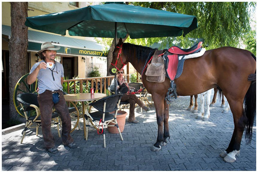 Akhal-Teke Horse Riding Center景点图片