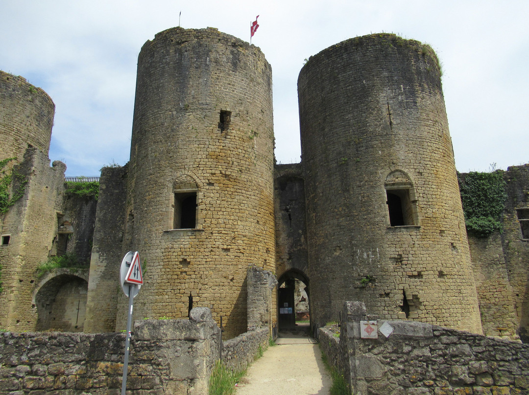 Château de Villandraut景点图片