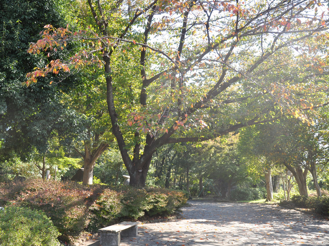 Mizukuraido Park景点图片