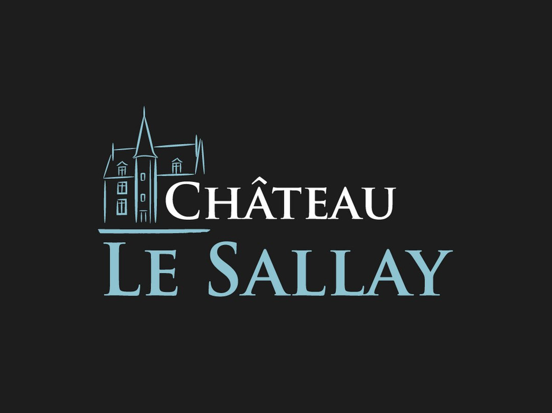 Apremont-sur-Allier酒店住宿-Chateau Le Sallay
