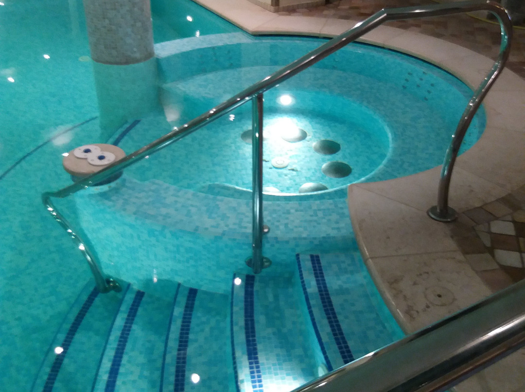 Alexander Hotel Alpine Wellness Dolomites主图