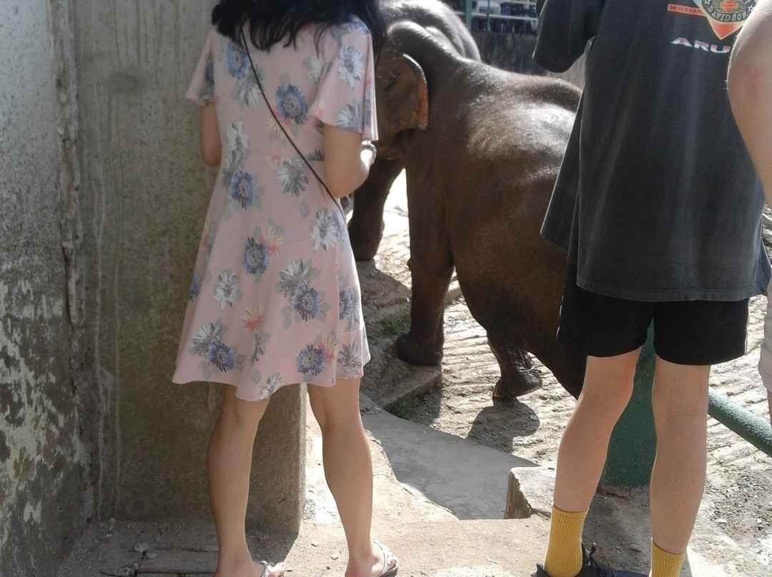 Ok Lanka Travels景点图片