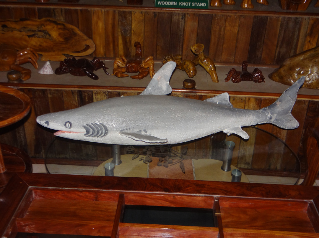 Forest Museum-布莱尔港必去景点