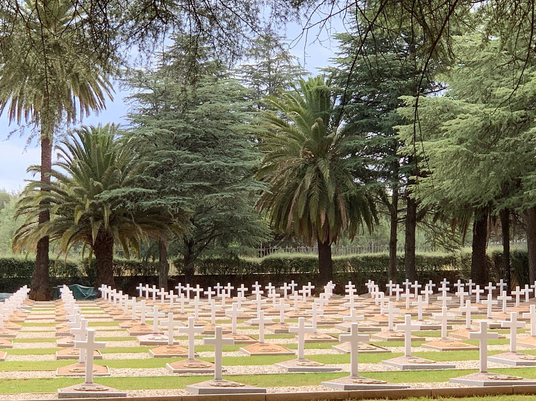 Zonderwater Italian POW-柯立南必去景点