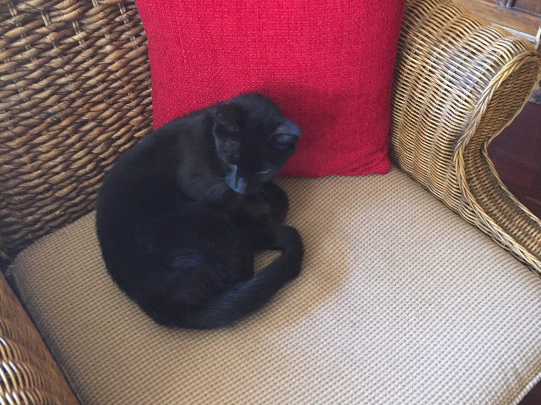 Harmony Place Bed and Breakfast主图