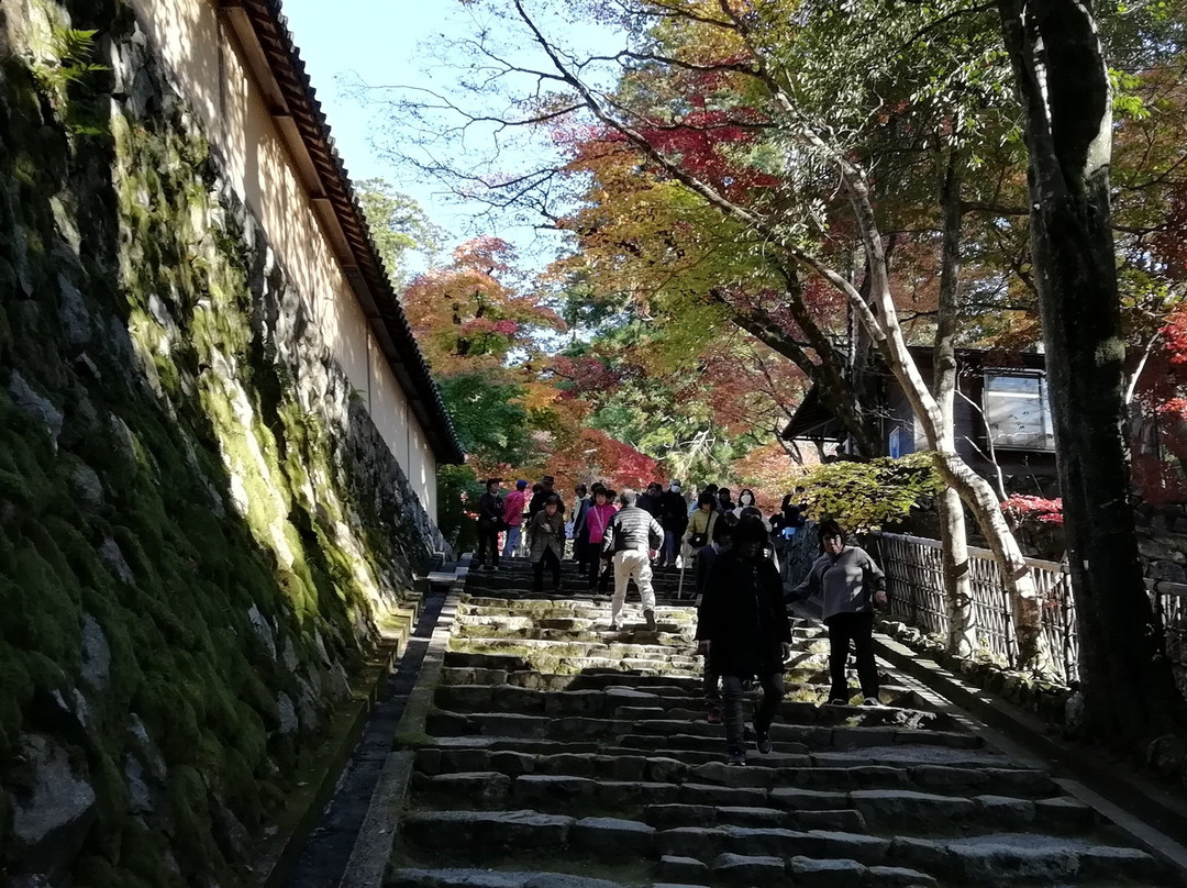 Saimyo-ji Temple Omotesando-甲良町必去景点