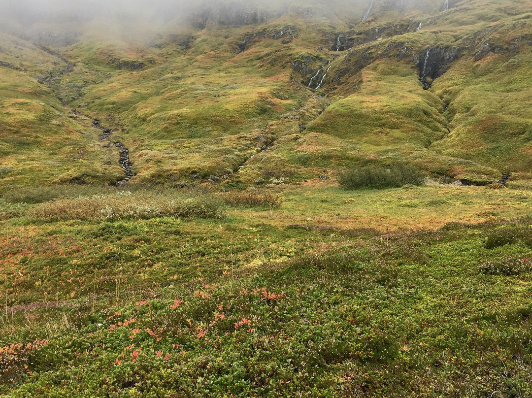 Klifbrekkufossar-埃伊尔斯塔济必去景点