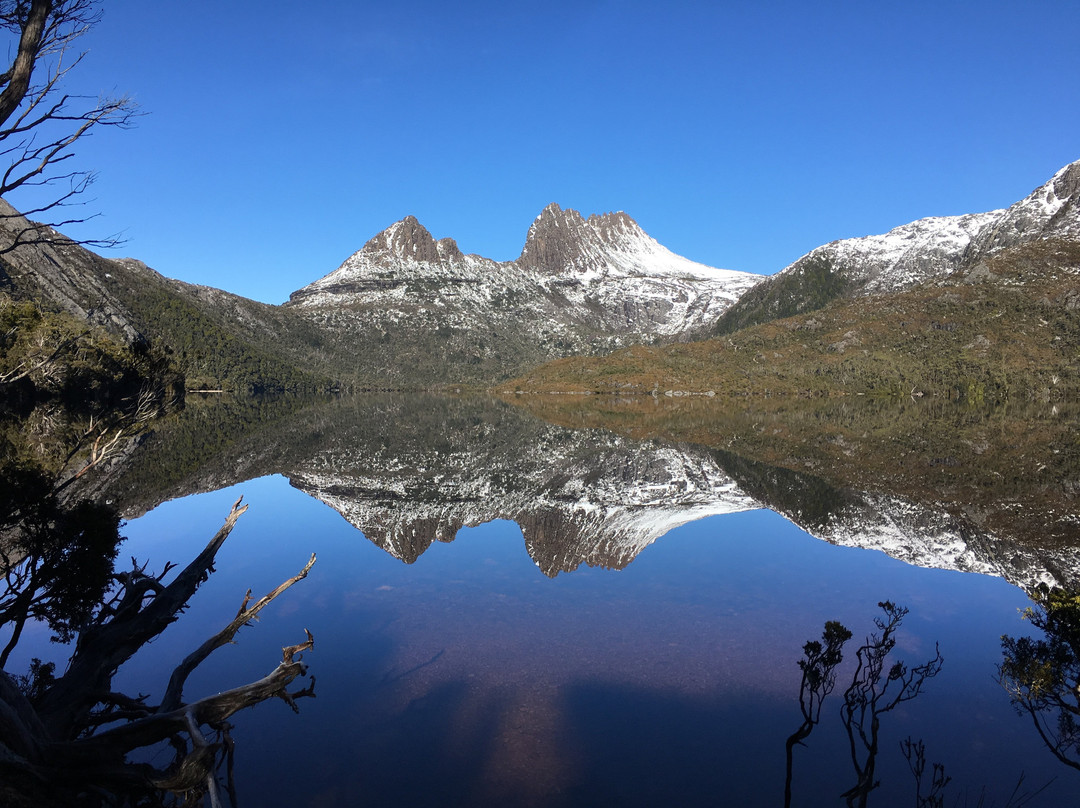 Boscobel of Tasmania主图