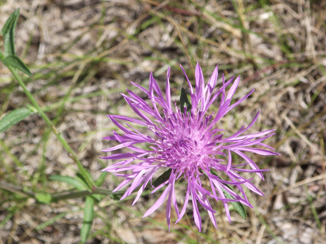 The Moswetuset Hummock-昆西必去景点
