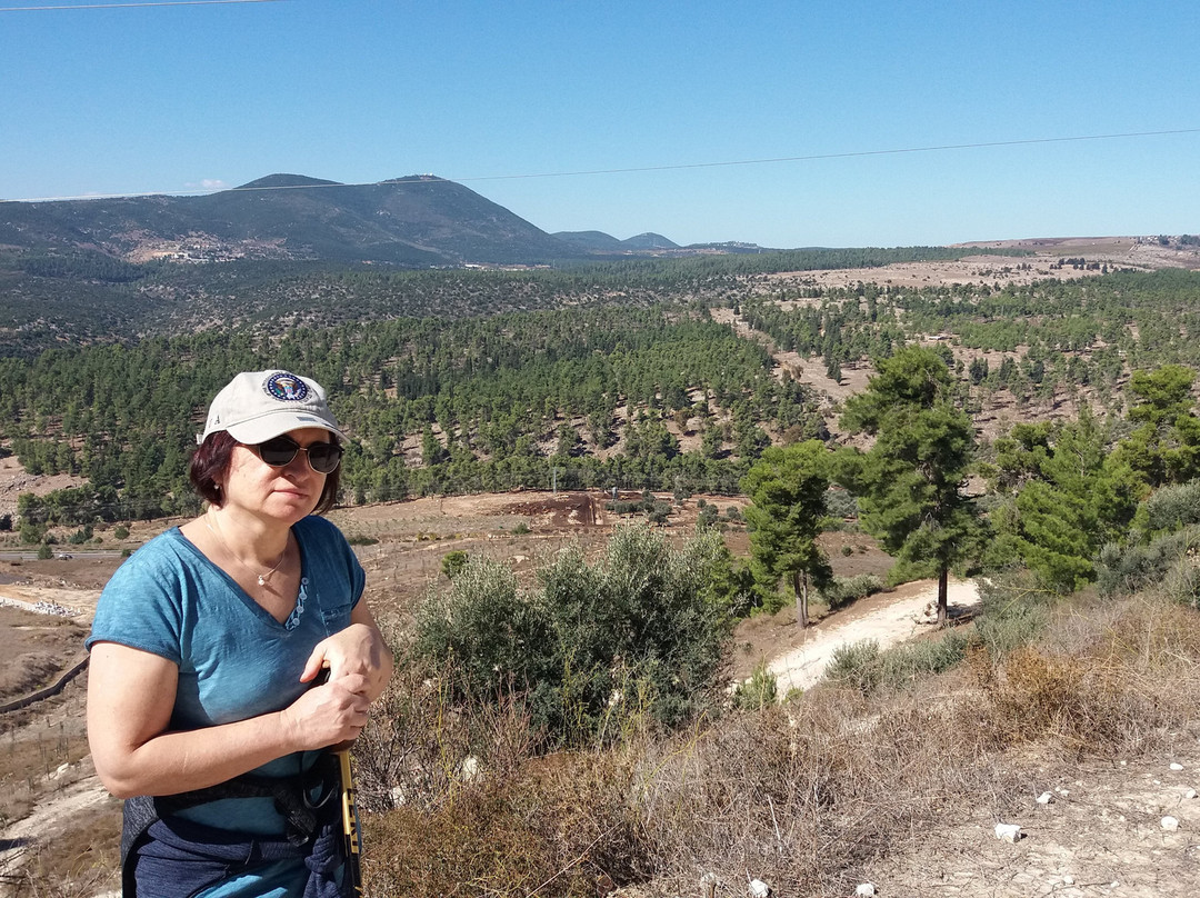 Biriya Forest-萨法德必去景点