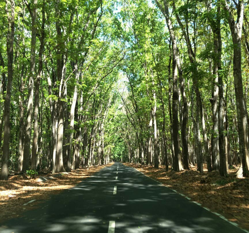 Sadengan Savannah-巴纽旺宣必去景点