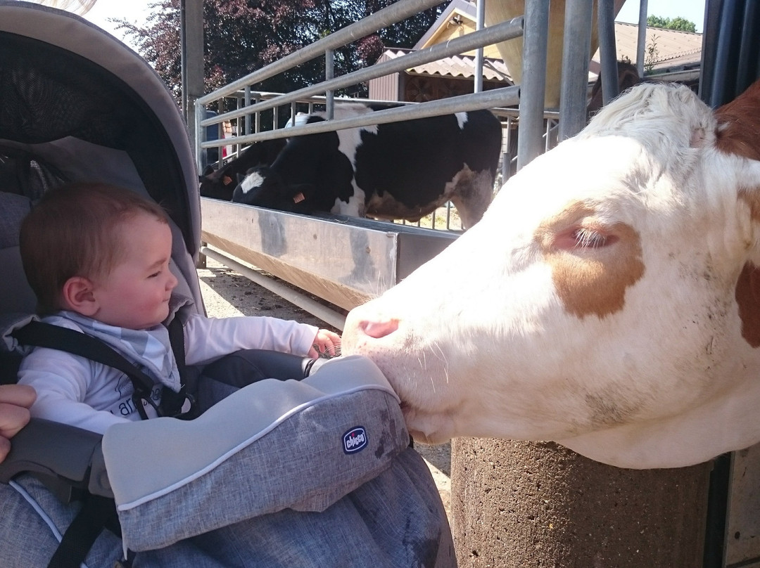 Kinderboerderij Barelhoeve景点图片