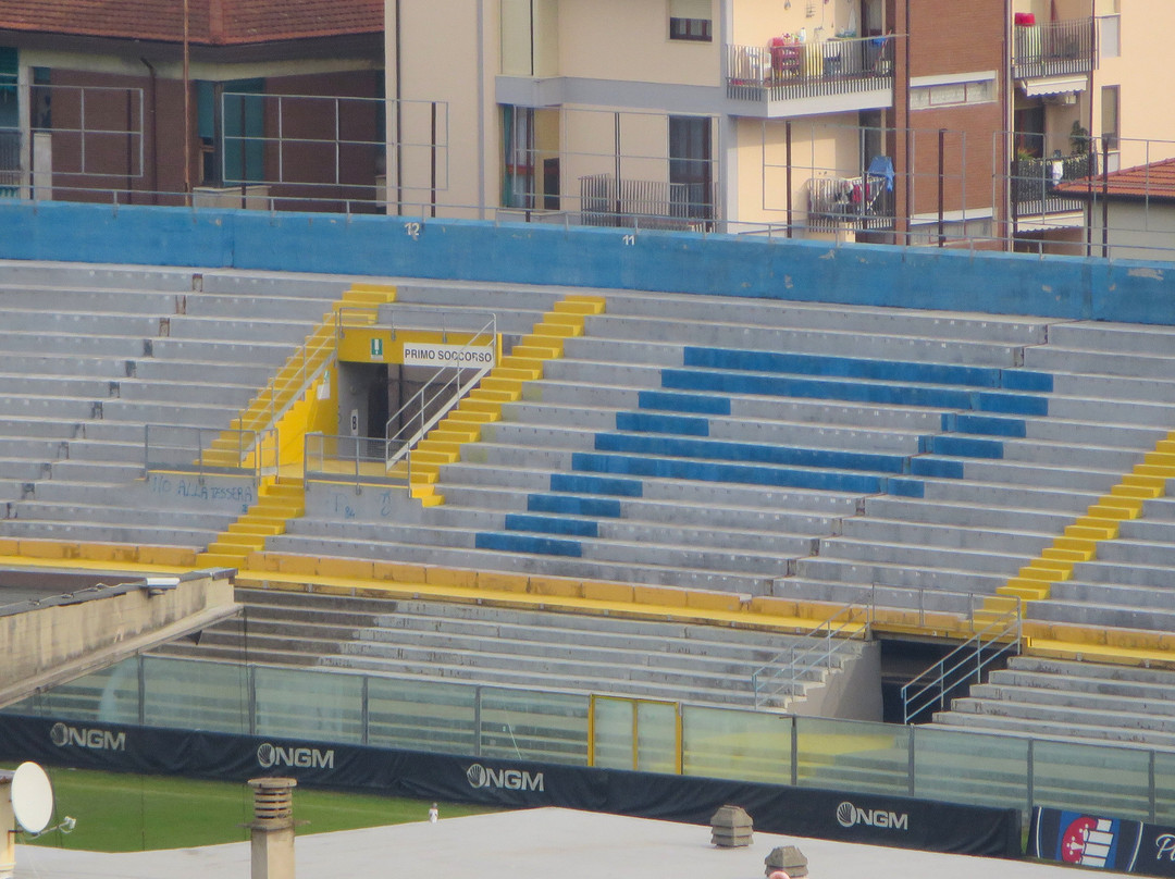 Stadio Arena Garibaldi - Romeo Anconetani景点图片